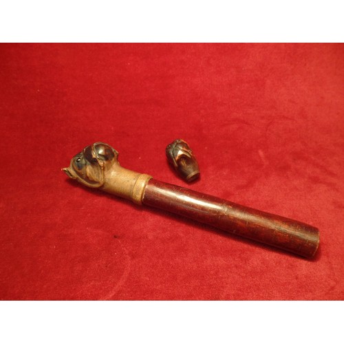 98A - A 19TH CENTURY CARVED WOOD CIGAR CASE, THE TOP, A BOXER DOG WITH GLASS EYES. 21CM.  ALSO A SMALL CAR... 