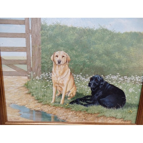 115 - OIL ON CANVAS OF A BLACK AND A GOLDEN LABRADOR NEAR A FIELD GATE, BY LEASINGHAM ARTIST JOHN C MOORE ... 