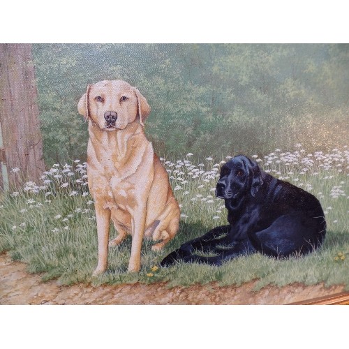 115 - OIL ON CANVAS OF A BLACK AND A GOLDEN LABRADOR NEAR A FIELD GATE, BY LEASINGHAM ARTIST JOHN C MOORE ... 