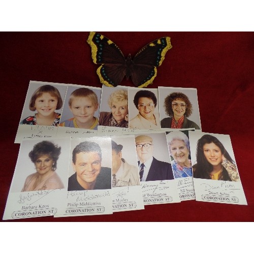 89 - SIGNED CELEBRITY PHOTOGRAPHS. INCLUDES A QUANTITY OF CORONATION STREET STARS. ALSO MEL BROOKS. A CYR... 