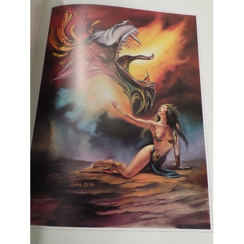 217 - DRAGONS WORLD. 3 X LARGE PORTFOLIOS, FAB ARTWORK . INCLUDES BORIS VALEJO, JULIE BELL, AND RODNEY MAT... 