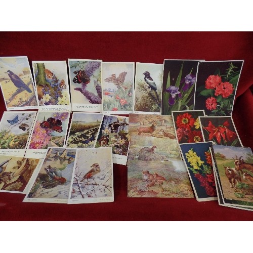 301 - VINTAGE POSTCARDS. INCLUDES A SET OF WW1 YPRES, AND OTHER WAR MEMORIALS. TOGETHER WITH A COLLERCTION... 