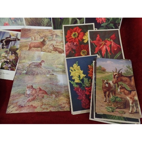 301 - VINTAGE POSTCARDS. INCLUDES A SET OF WW1 YPRES, AND OTHER WAR MEMORIALS. TOGETHER WITH A COLLERCTION... 