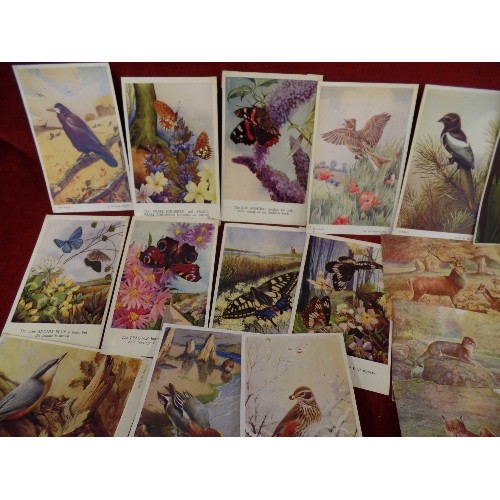 301 - VINTAGE POSTCARDS. INCLUDES A SET OF WW1 YPRES, AND OTHER WAR MEMORIALS. TOGETHER WITH A COLLERCTION... 