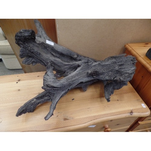 309 - BOG OAK, APPROX 55CM L.