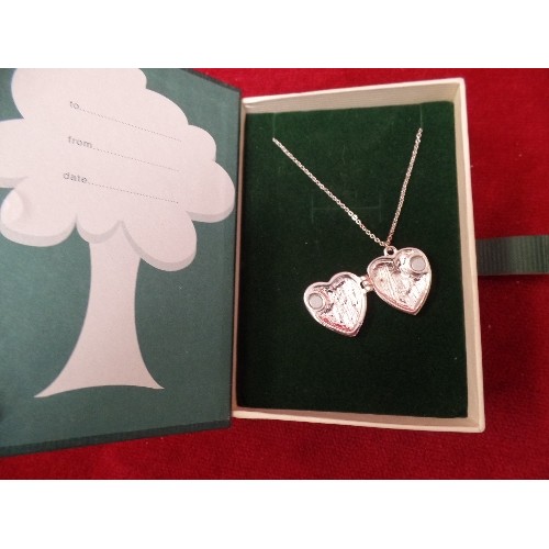 19 - FAMILY TREE BOX WITH SILVER METAL HEART SHAPED LOCKET