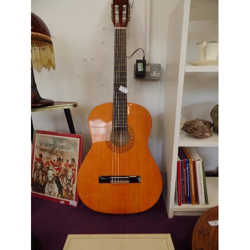 Hohner concerta online guitar