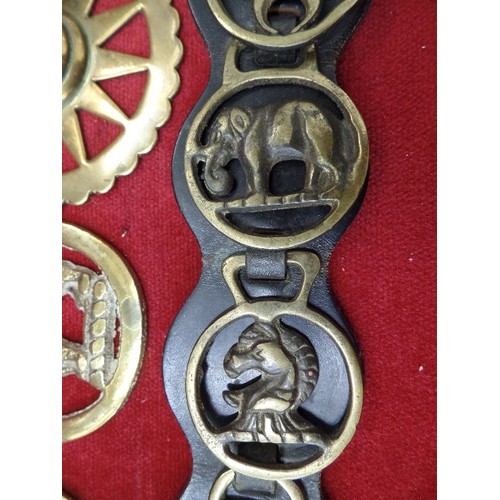 125 - 7 X SMALL VINTAGE HORSE BRASSES ON A BLACK LEATHER STRAP, ALSO 4 LOOSE BRASSES.