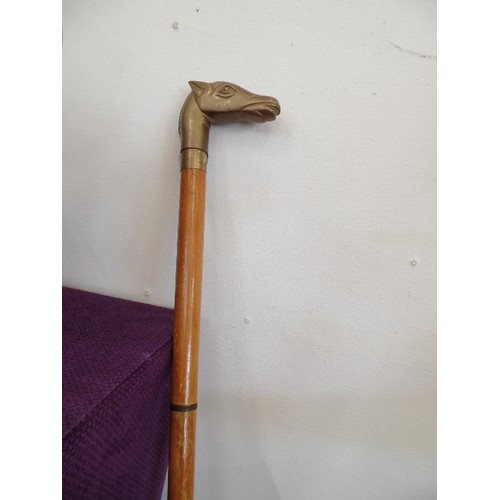 98 - WALKING CANE WITH HEAVY BRASS HORSES HEAD HANDLE (damaged stick)