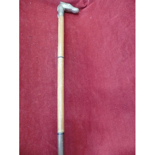 98 - WALKING CANE WITH HEAVY BRASS HORSES HEAD HANDLE (damaged stick)