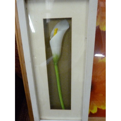 394 - LARGE PINE FRAMED GERBERA FLOWER PRINT, AND A 3D CALA LILY IN A BOX FRAME.