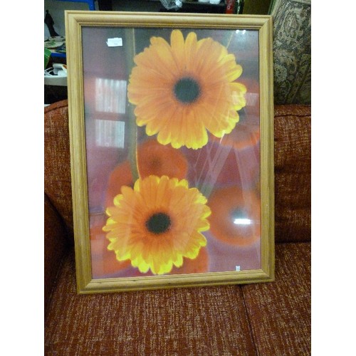 394 - LARGE PINE FRAMED GERBERA FLOWER PRINT, AND A 3D CALA LILY IN A BOX FRAME.