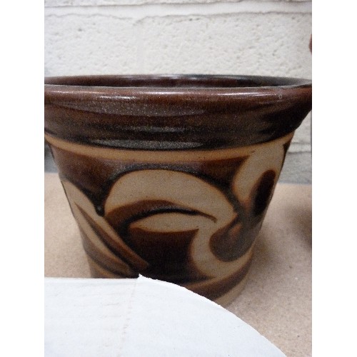 544 - STONEWARE VASE WITH DRIED PAMPAS AND POTTERY PLANT POT