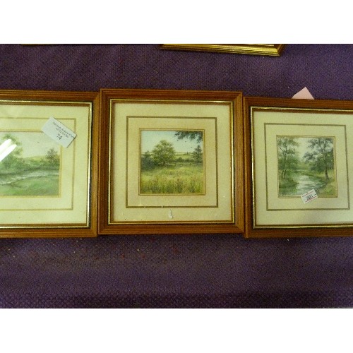 74 - 3 SMALL WATERCOLOURS BY ANDREA THOMAS. ALSO 2 PRINTS BY SARAH MALIN. ALL FRAMED/GLAZED.