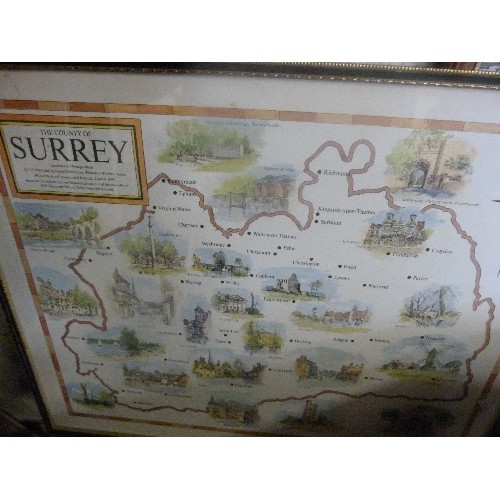 179A - 2 FRAMED AND GLAZED VINTAGE STYLE MAPS OF SURREY AND CAMBRIDGE