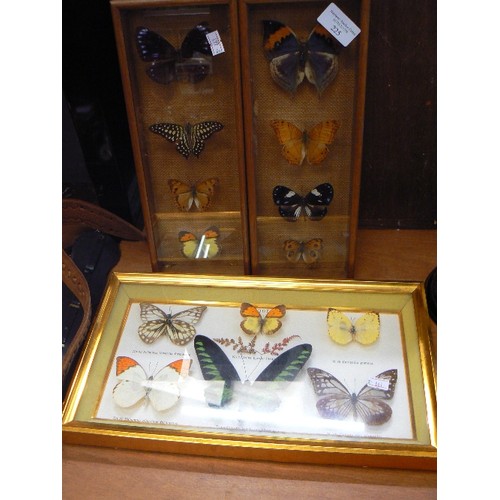 225 - TAXIDERMY BUTTERFLY/MOTH COLLECTION. DISPLAYED IN 3 FRAMES.