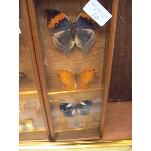 225 - TAXIDERMY BUTTERFLY/MOTH COLLECTION. DISPLAYED IN 3 FRAMES.