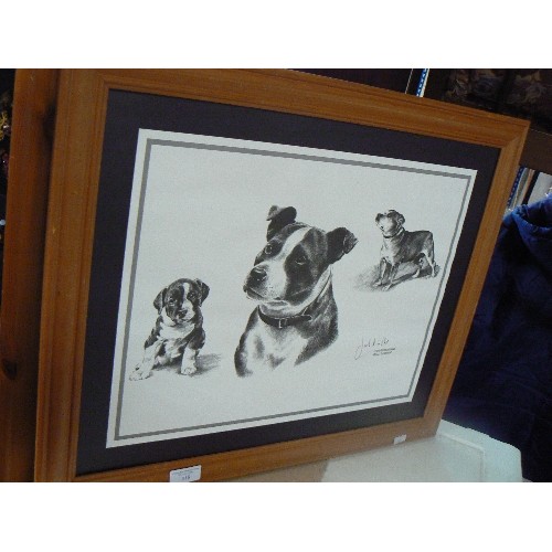 318 - STAFFORDSHIRE BULL TERRIER ARTWORK. FRAMED.