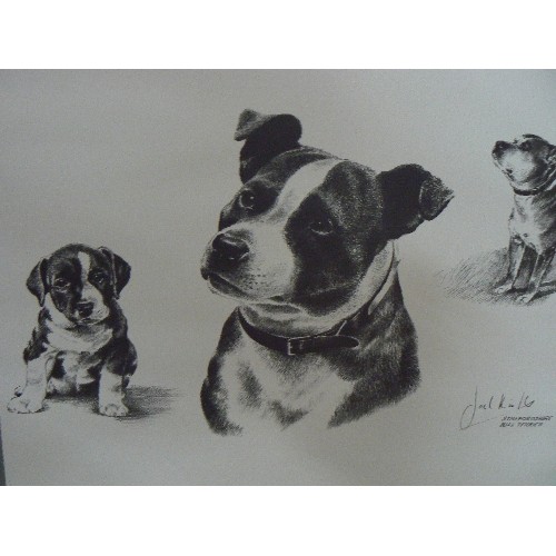 318 - STAFFORDSHIRE BULL TERRIER ARTWORK. FRAMED.