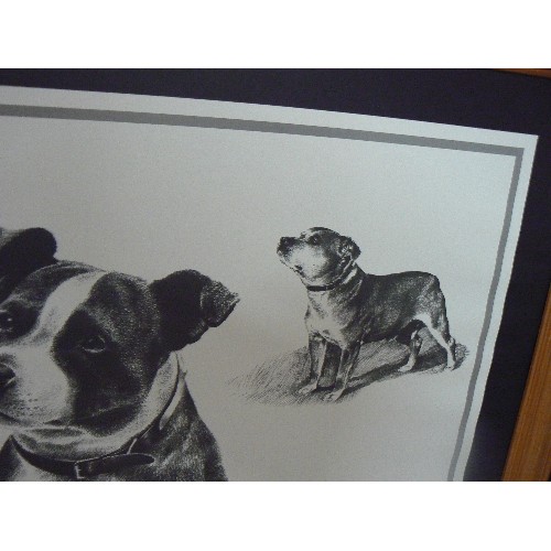 318 - STAFFORDSHIRE BULL TERRIER ARTWORK. FRAMED.