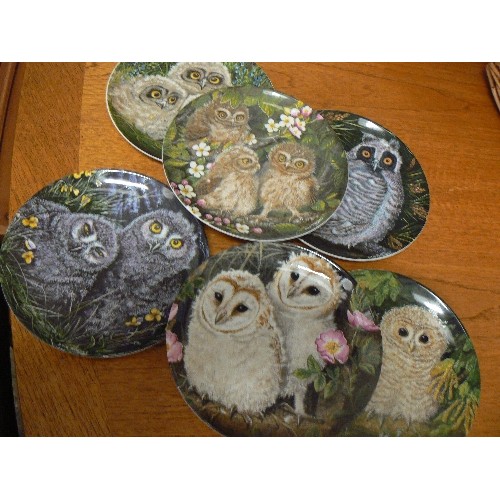 418 - OWLS. SET OF 6 X WEDGEWOOD LIMITED EDITION PLATES. BY DICK TWINNEY.