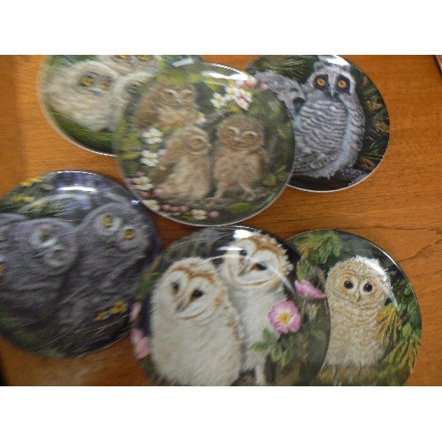 418 - OWLS. SET OF 6 X WEDGEWOOD LIMITED EDITION PLATES. BY DICK TWINNEY.