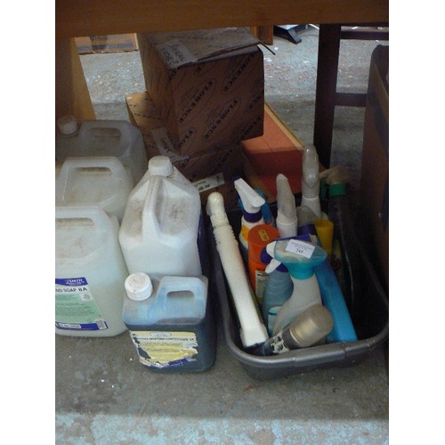 249 - LARGE QUANTITY OF ANTI-BAC/SANITISER. ALSO 'UNDER- SINK' CLEANING PRODUCTS.