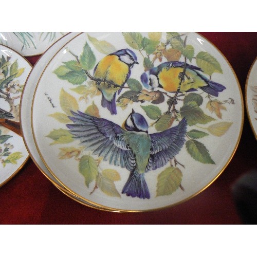 265 - WWF LIMITED EDITION PLATE COLLECTION. BIRD THEMED. X 8. WITH CERTS OF AUTH.