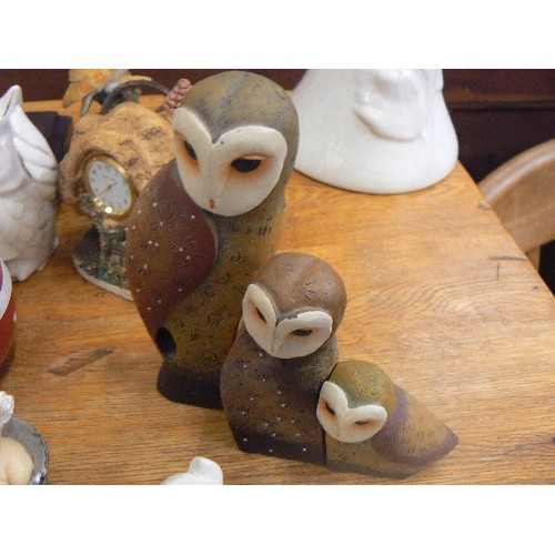 429 - OWL COLLECTION, ALSO HEDGEHOG, FROG & DUCKS.