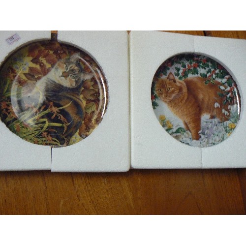 422 - CAT INTEREST. 2 X LIMITED EDITION PLATES 'THE FOUR SEASONS' BY DANBURY MINT. LYNFASCAT IN AUTUMN & D... 