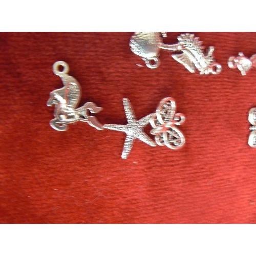 10 - QUANTITY OF SILVER METAL CHARMS - DOG, CAT, DOLPHIN, MONKEY ETC