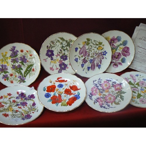 313 - ROYAL ALBERT 'BRITAINS WILD FLOWERS' X 8 LIMITED EDITION PLATES. WITH CERTS OF PROVENANCE.