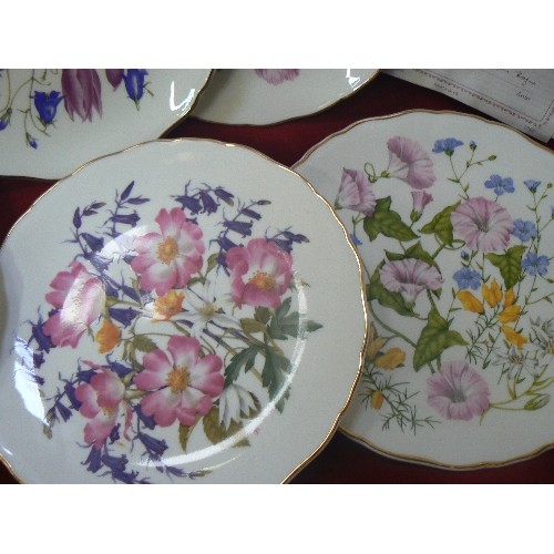 313 - ROYAL ALBERT 'BRITAINS WILD FLOWERS' X 8 LIMITED EDITION PLATES. WITH CERTS OF PROVENANCE.