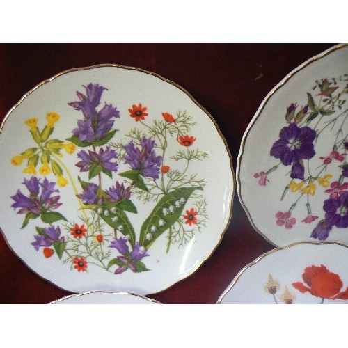 313 - ROYAL ALBERT 'BRITAINS WILD FLOWERS' X 8 LIMITED EDITION PLATES. WITH CERTS OF PROVENANCE.