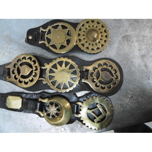 499 - 10 X MARTINGALE AND DISPLAY STRAPS WITH MOSTLY ANTIQUE AND SOME 20TH CENTURY HORSE BRASSES. SOME NIC... 