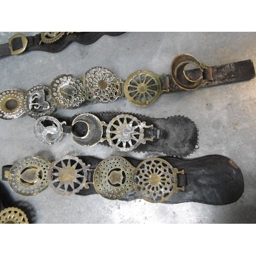 499 - 10 X MARTINGALE AND DISPLAY STRAPS WITH MOSTLY ANTIQUE AND SOME 20TH CENTURY HORSE BRASSES. SOME NIC... 