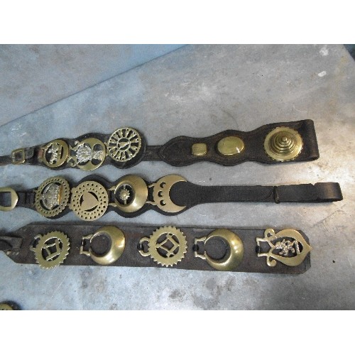 499 - 10 X MARTINGALE AND DISPLAY STRAPS WITH MOSTLY ANTIQUE AND SOME 20TH CENTURY HORSE BRASSES. SOME NIC... 