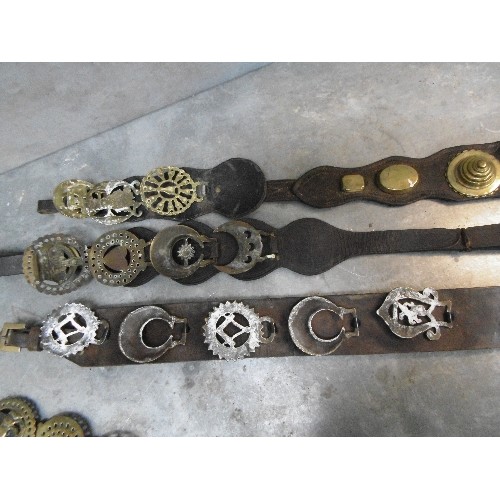 499 - 10 X MARTINGALE AND DISPLAY STRAPS WITH MOSTLY ANTIQUE AND SOME 20TH CENTURY HORSE BRASSES. SOME NIC... 