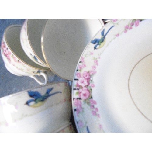 191 - AN EDWARDIAN TEASET BY TUSCAN CHINA DECORATED WITH SWALLOWS AND PINK ROSES - 36 PIECES. 1 OR 2 HAIRL... 