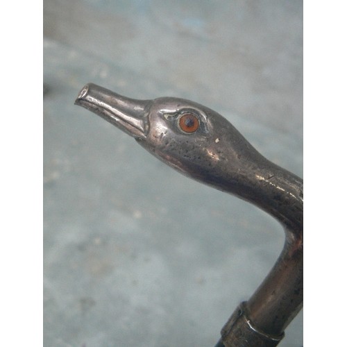 72 - A WALKING STICK WITH SILVER SWAN HEAD HANDLE BY KENDALL, HALLMARKED LONDON 1929, GLASS EYES, EBONISE... 