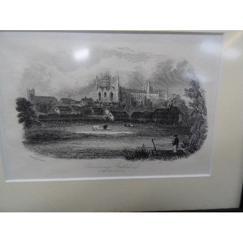 282 - THREE 18TH AND 19TH CENTURY ENGRAVINGS OF PETERBOROUGH CATHEDRAL INCLUDING A VIEW FROM THE NORTH ENG... 