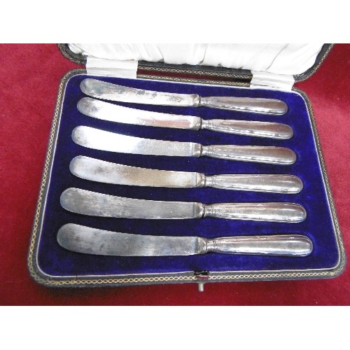 82 - SET OF SIX SILVER HANDLED TEA KNIVES HALLMARKED SHEFFIELD 1916, WITH ORIGINAL FITTED BOX