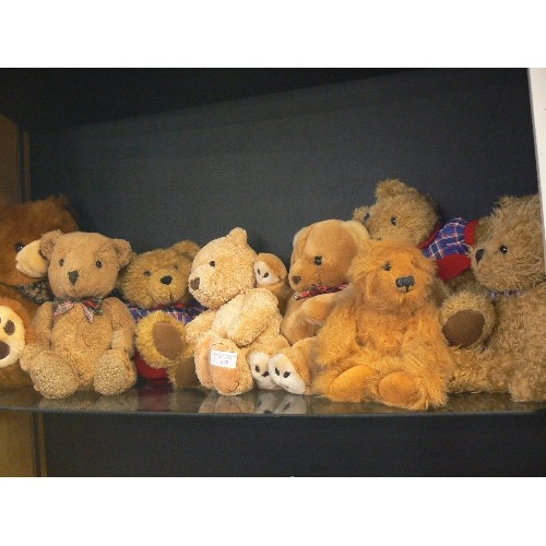 278 - 8 TEDDY BEARS.