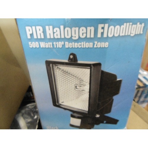 557 - 2 X PATIO GLOBE LIGHTS AND A HALOGEN PIR FLOODLIGHT.