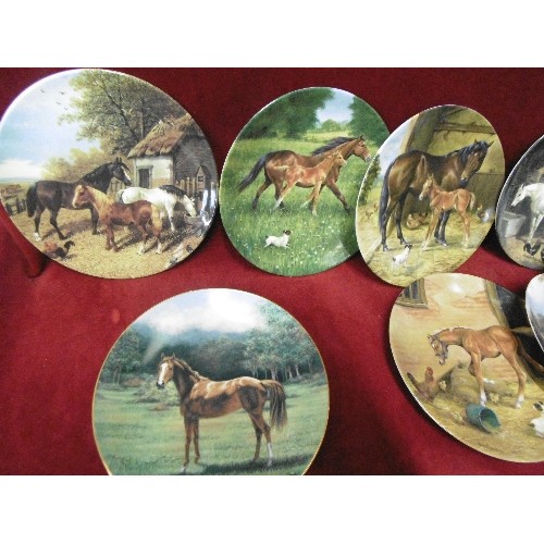 443 - 11 X LIMITED EDITION DECORATIVE PLATES WITH CERTIFICATES OF AUTHENTICITY. ROYAL DOULTON, ROYAL WORCE... 