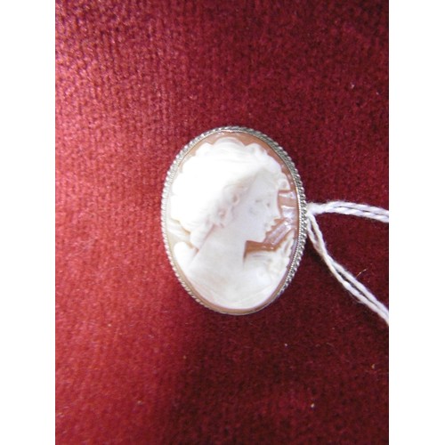 27 - SILVER SHELL CAMEO BROOCH