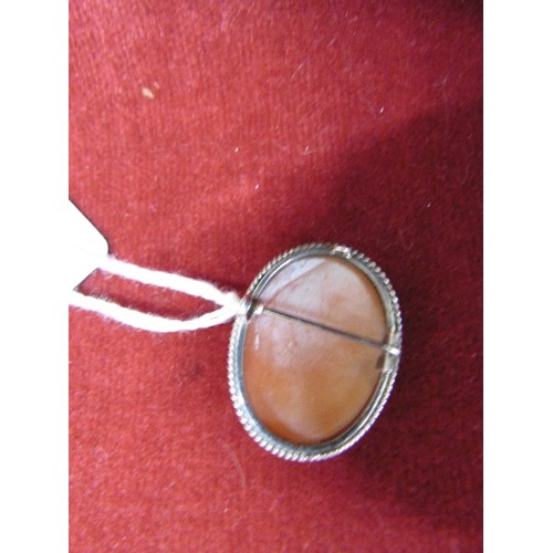 27 - SILVER SHELL CAMEO BROOCH