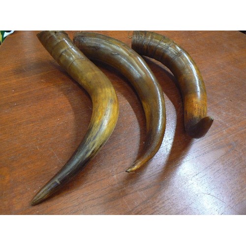 93 - 3 LARGE BULL HORNS