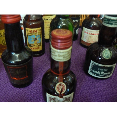 125 - COLLECTION OF 13 X DRINK MINIATURES. INC DRAMBUI, MALIBU, TAYLORS PORT ETC.