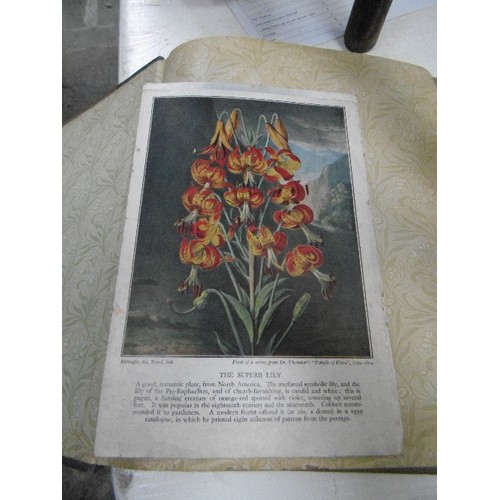 118 - QUANTITY OF LOVELY OLD POSTCARDS DISPLAYED IN A POSTCARD ALBUM. INCLUDES PERSONAL GREETING CARDS AND... 